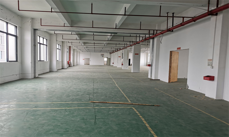 新闻稿：深圳市坪山区聚龙山新兴产业园迎来新发展