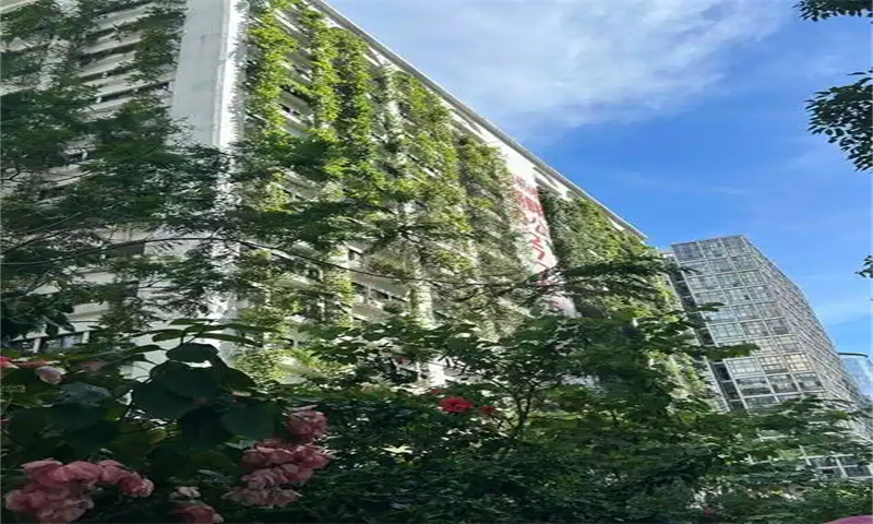 深圳市宝安区泰华梧桐聚落花园写字楼——引领城市商务新风尚