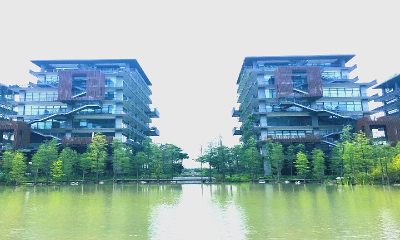 1787797985318766.jpg 梧桐岛.jpg